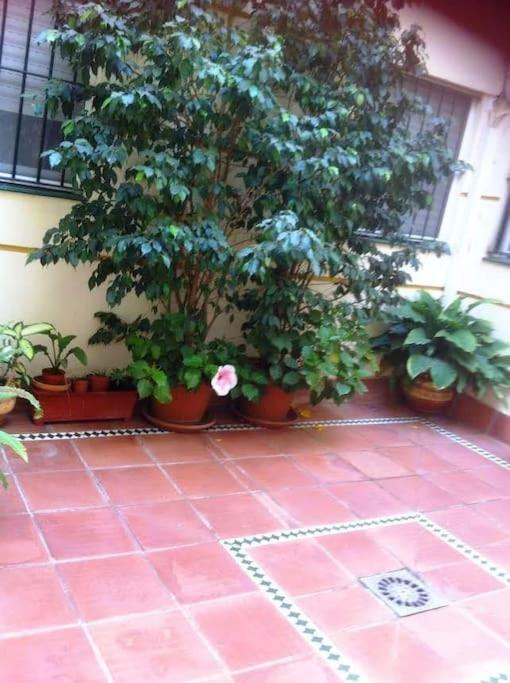 Apartamento Paola El Puerto de Santa María Exteriör bild